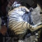 WhatsApp Image 2026-01-22 at 12.54.22 PM