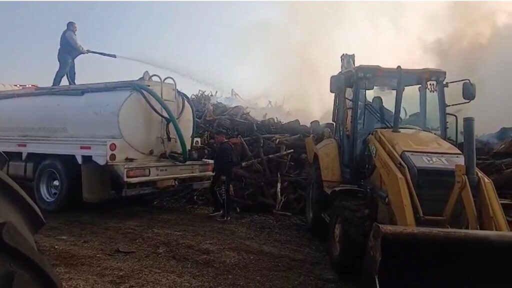 WhatsApp Image 2026-01-27 at 1.22.15 PM