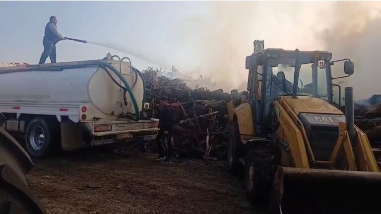 WhatsApp Image 2026-01-27 at 1.22.15 PM