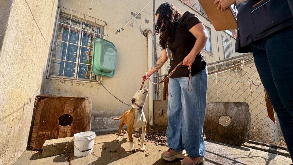 WhatsApp Image 2026-01-27 at 4.12.53 PM