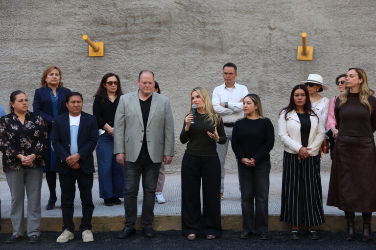 Huixquilucan Romina Contreras C-035-2026 (2)