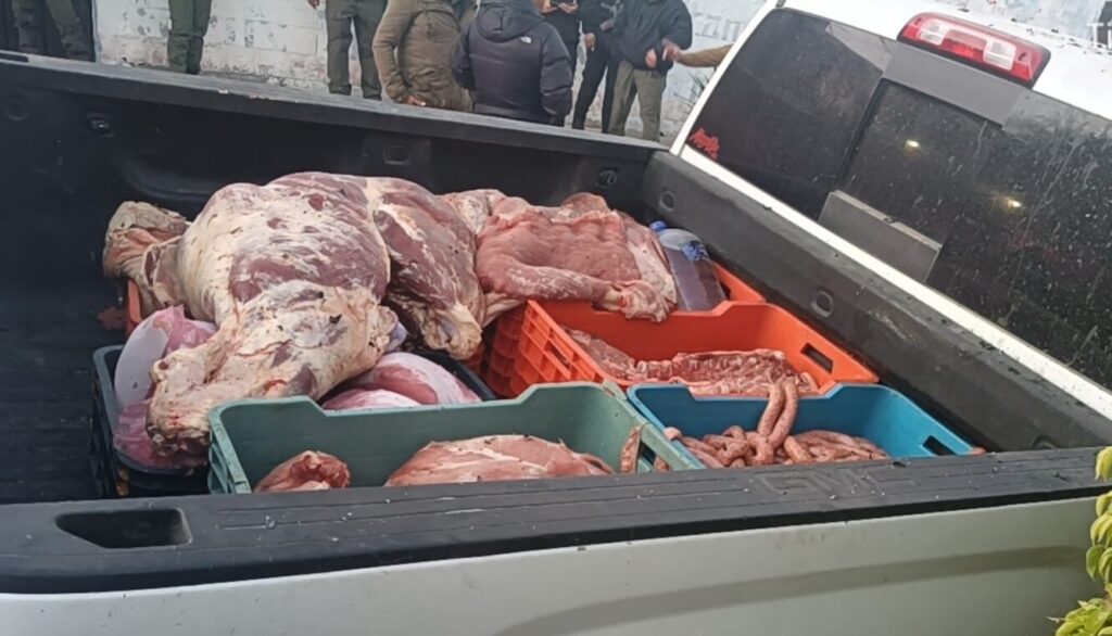 WhatsApp Image 2026-02-02 at 1.47.48 PM (1)