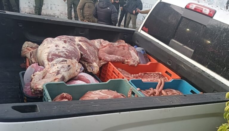 WhatsApp Image 2026-02-02 at 1.47.48 PM (1)