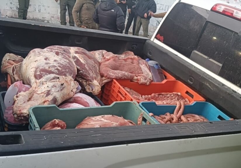 WhatsApp Image 2026-02-02 at 1.47.48 PM (1)