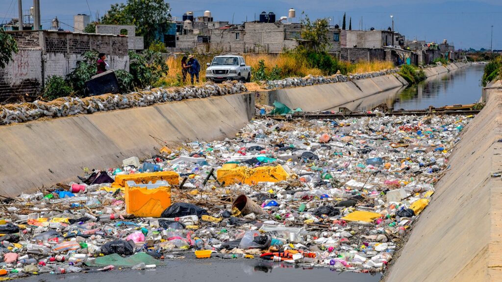 WhatsApp Image 2026-02-05 at 2.50.25 PM