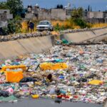 WhatsApp Image 2026-02-05 at 2.50.25 PM