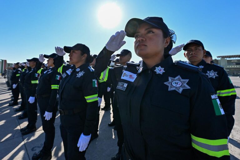 WhatsApp Image 2026-02-12 at 4.37.32 PM