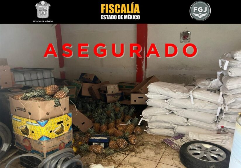 WhatsApp Image 2026-02-19 at 1.53.21 PM