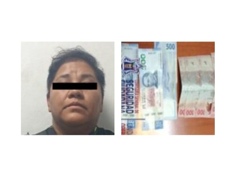 preview_e71db747c707ac4ccadfd3618173a506_collage (1)