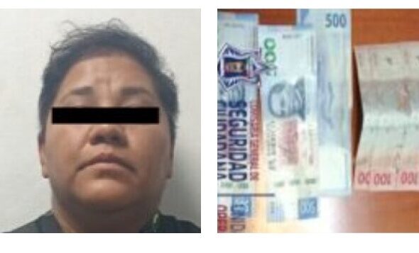 preview_e71db747c707ac4ccadfd3618173a506_collage (1)