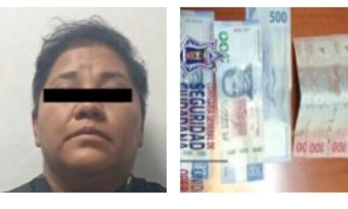 preview_e71db747c707ac4ccadfd3618173a506_collage (1)