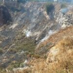 WhatsApp Image 2026-03-03 at 4.49.08 PM