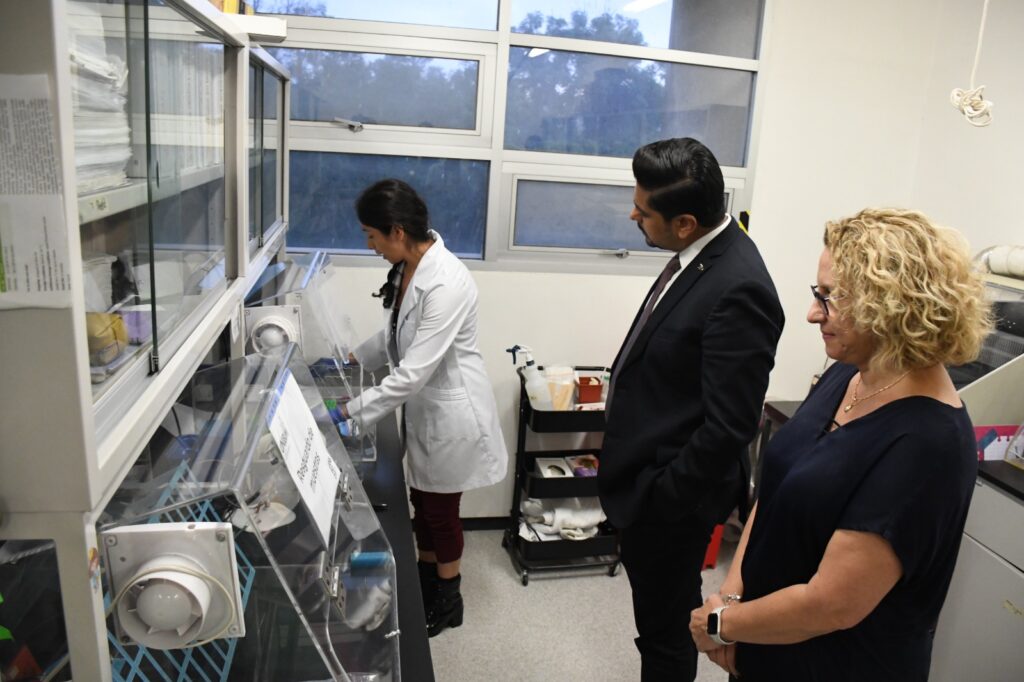 UNAM  Y Nezahualcóyotl