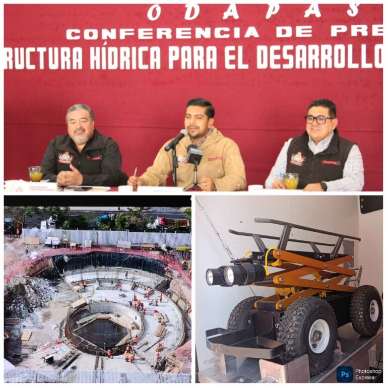 Adolfo Cerqueda Neza, Foro