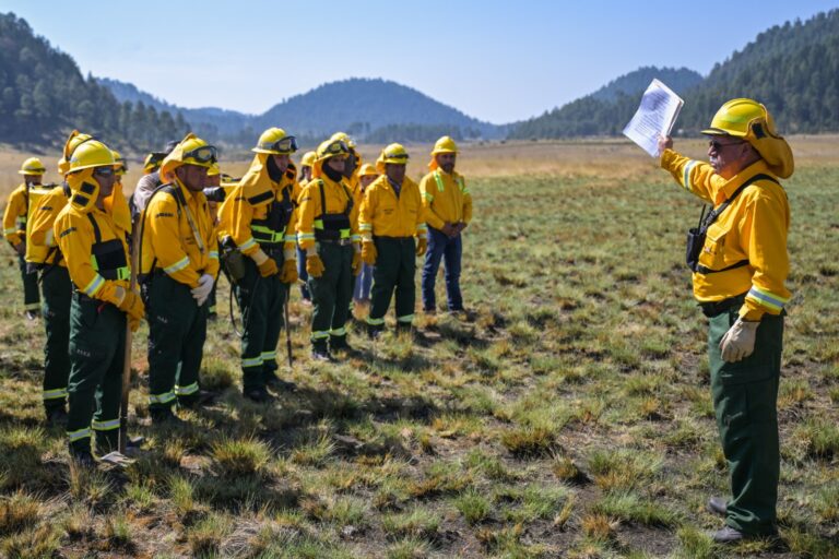 Edoméx Delfina Gómez