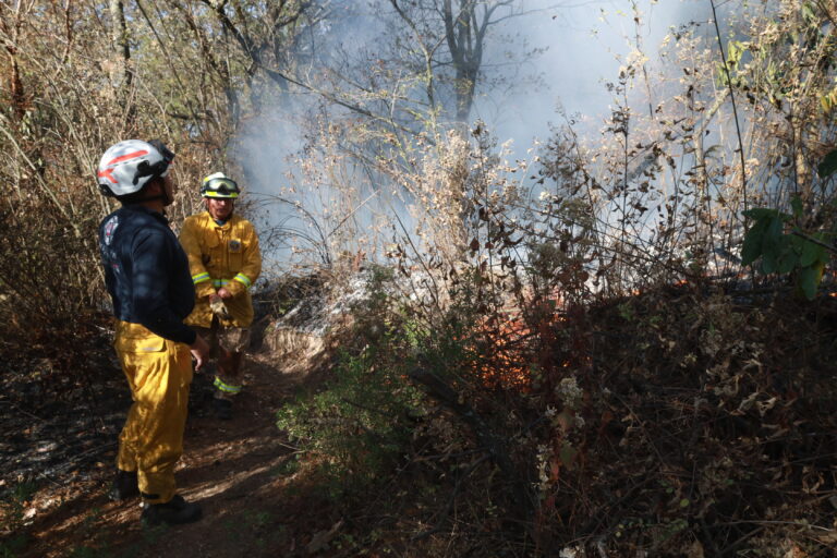Huixquilucan Romina Contreras C-082-2026 (3)