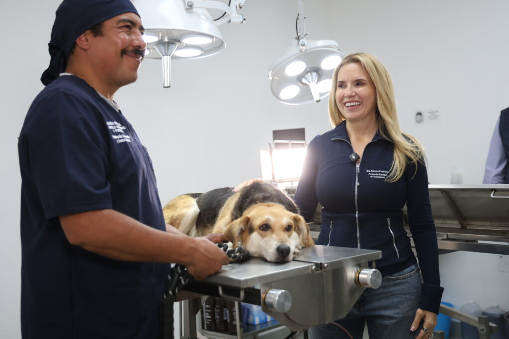 Huixquilucan Romina Contreras C-No. 101-2026 (1)