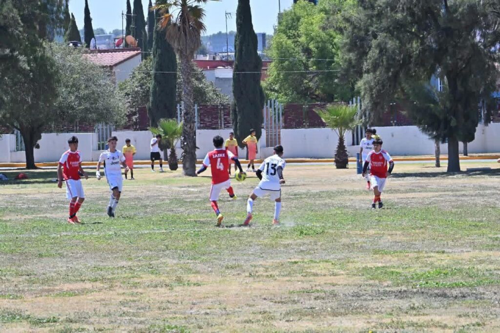 WhatsApp Image 2026-03-31 at 2.58.11 PM