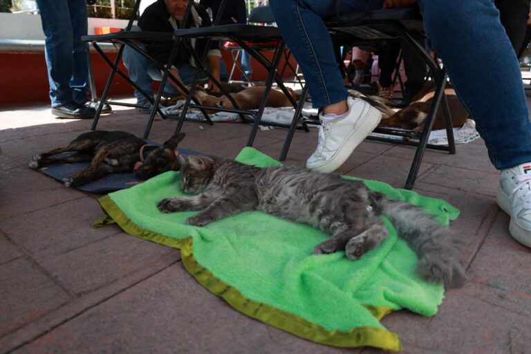 WhatsApp Image 2026-04-08 at 2.05.21 PM