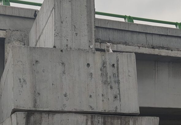 IMG-20260524-WA0023