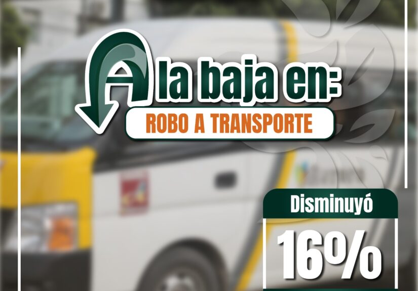 Izcalli seguridad