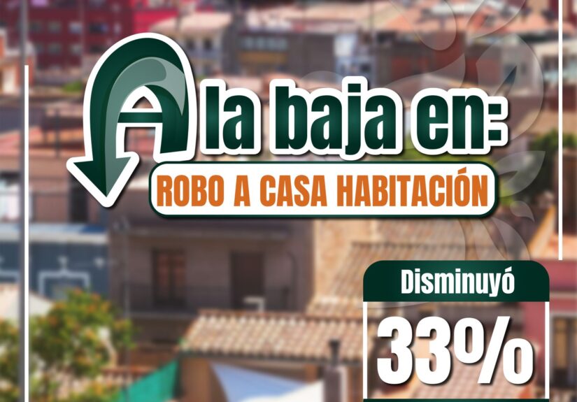 Izcalli seguridad