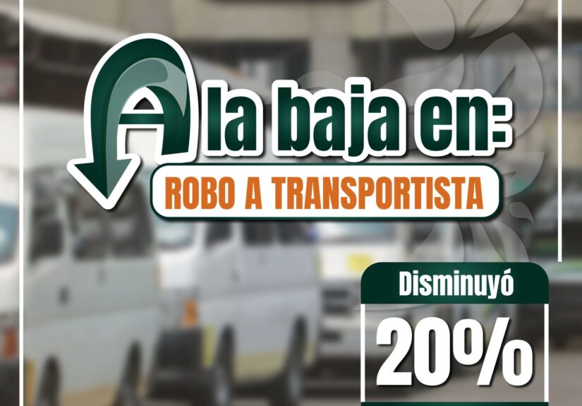 Izcalli seguridad