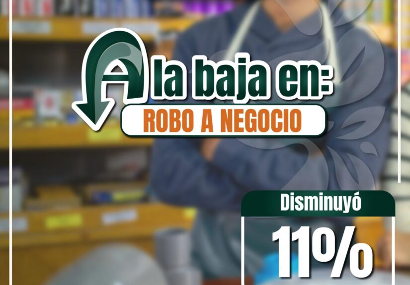 Izcalli seguridad
