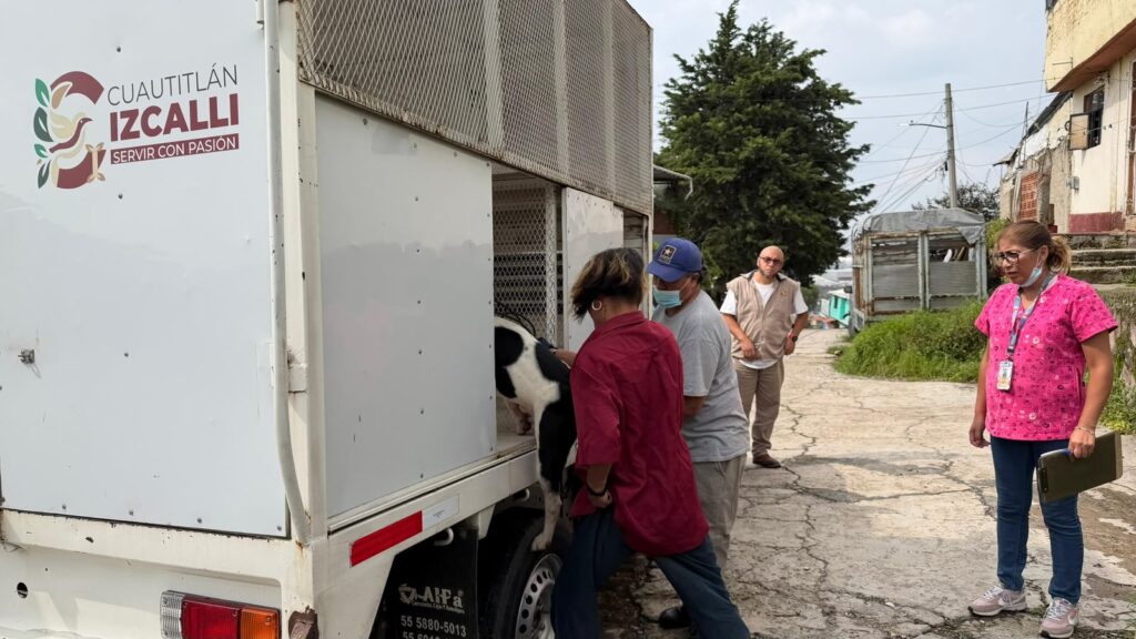 Izcalli seguridad