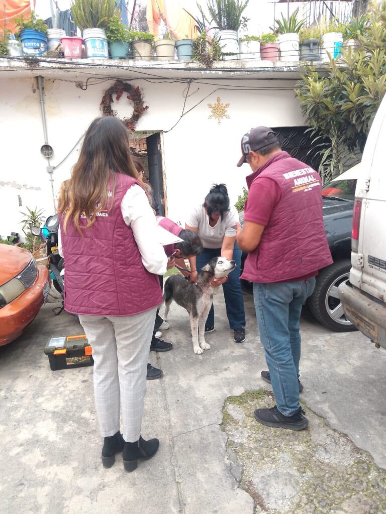 Naucalpan Isaac Montoya