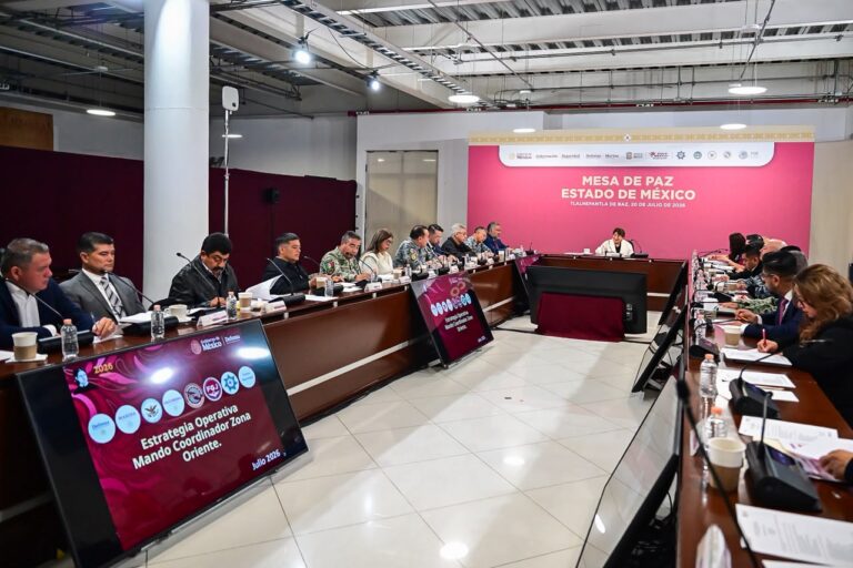 edomex seguridad