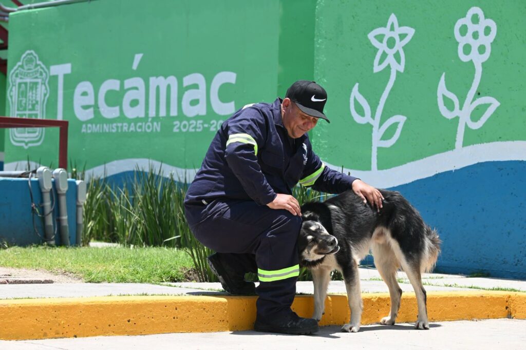 Tecámac, Rosi Wong