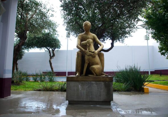 centro de bienestar animal de Tecámac