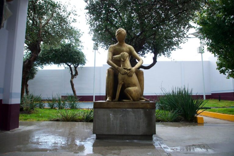 centro de bienestar animal de Tecámac