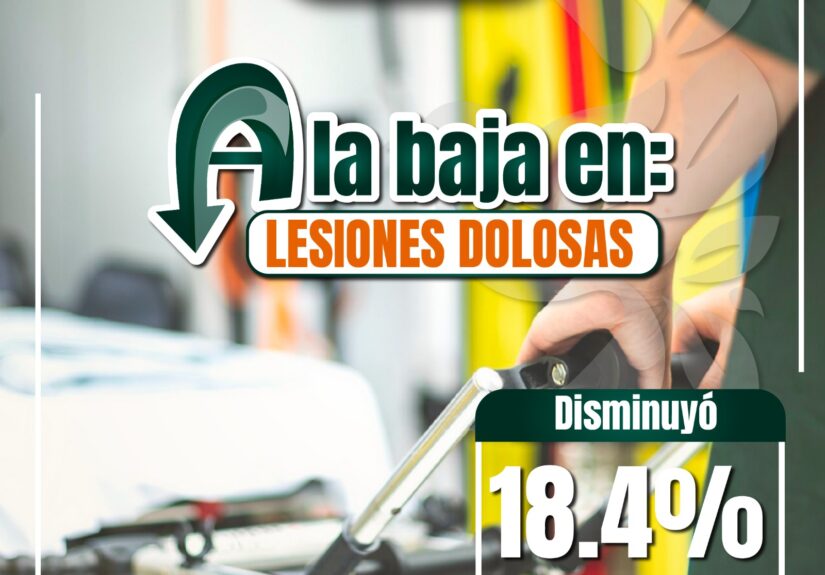 Izcalli seguridad