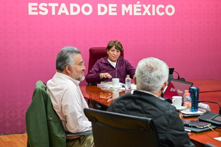 seguridad Edoméx