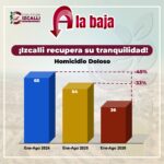 seguridad Izcalli
