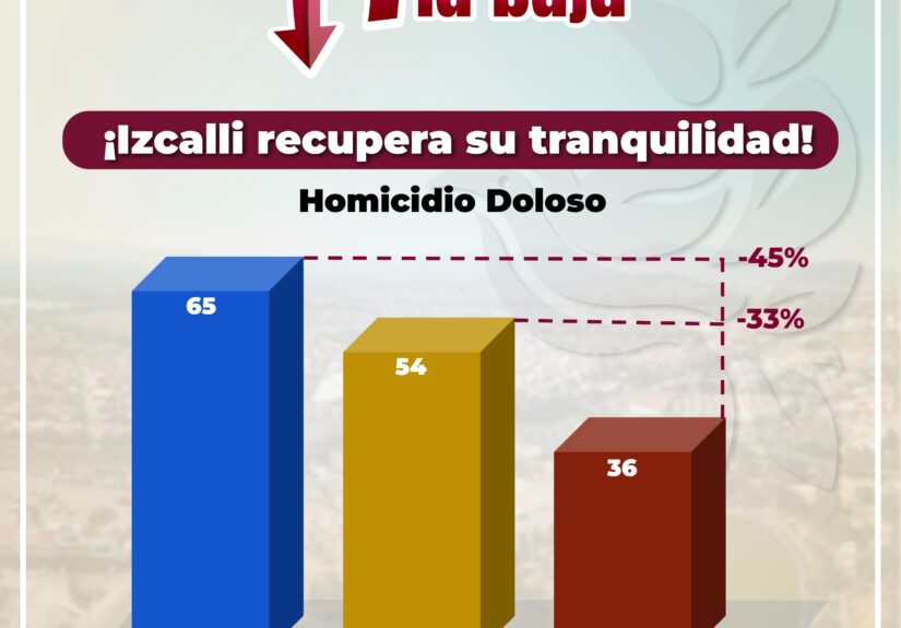seguridad Izcalli