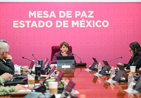 seguridad Edoméx