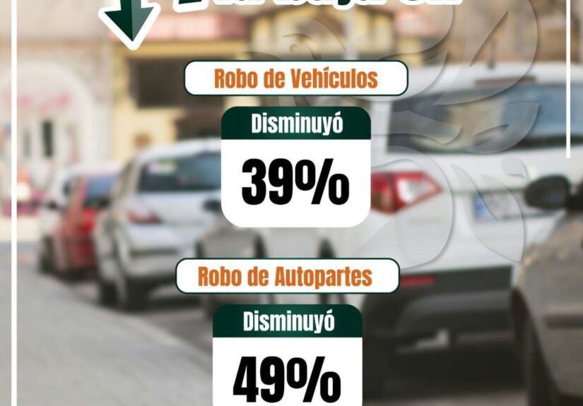 Izcalli seguridad