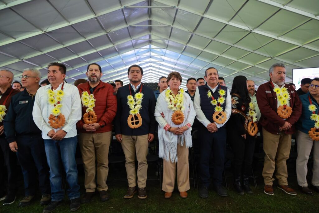 diputados Edoméx