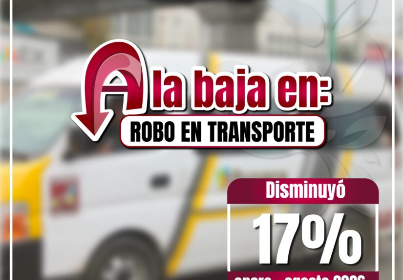 Izcalli seguridad