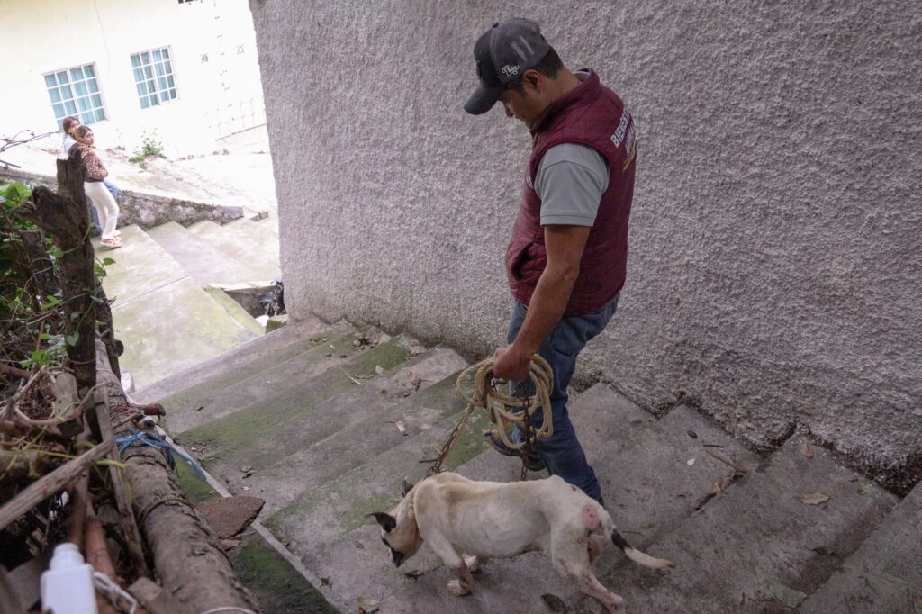Naucalpan