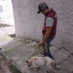 Naucalpan