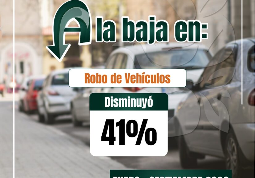 Izcalli seguridad