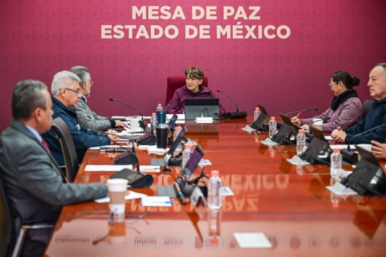 seguridad Edoméx