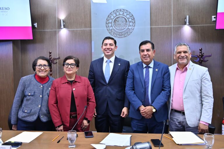 diputados